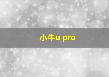 小牛u pro